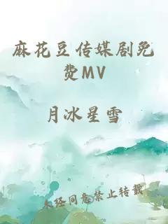 麻花豆传媒剧免费MV